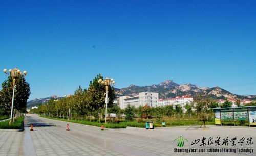 泰山怀抱